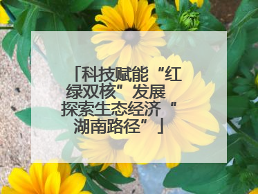 科技赋能“红绿双核”发展 探索生态经济“湖南路径”