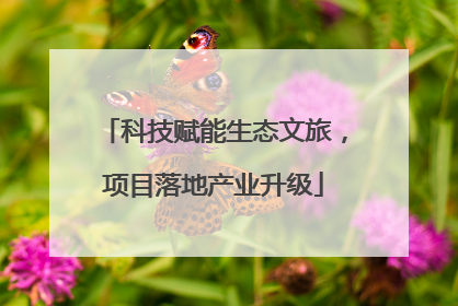 科技赋能生态文旅，项目落地产业升级