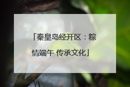 秦皇岛经开区：粽情端午 传承文化
