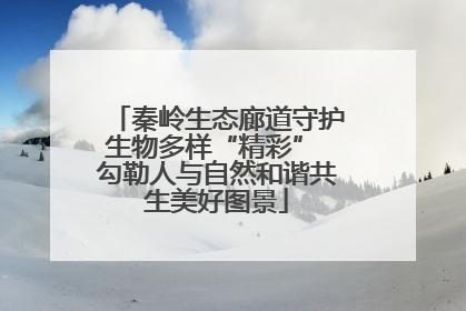 秦岭生态廊道守护生物多样“精彩” 勾勒人与自然和谐共生美好图景