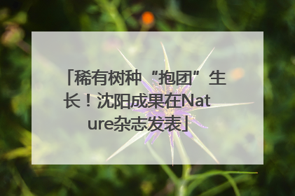 稀有树种“抱团”生长！沈阳成果在Nature杂志发表
