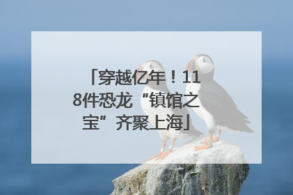 穿越亿年！118件恐龙“镇馆之宝”齐聚上海