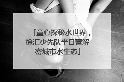 童心探秘水世界，徐汇少先队半日营解密城市水生态