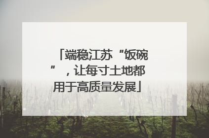 端稳江苏“饭碗”，让每寸土地都用于高质量发展