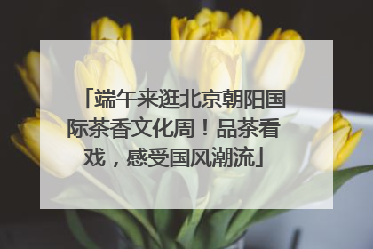 端午来逛北京朝阳国际茶香文化周！品茶看戏，感受国风潮流