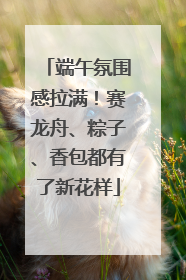 端午氛围感拉满！赛龙舟、粽子、香包都有了新花样