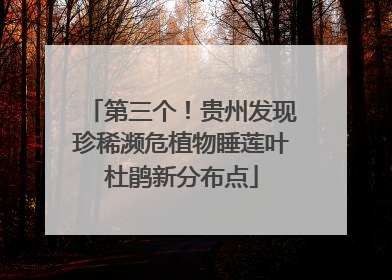 第三个！贵州发现珍稀濒危植物睡莲叶杜鹃新分布点
