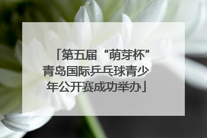 第五届“萌芽杯”青岛国际乒乓球青少年公开赛成功举办