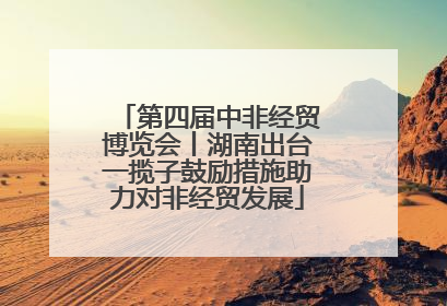 第四届中非经贸博览会丨湖南出台一揽子鼓励措施助力对非经贸发展