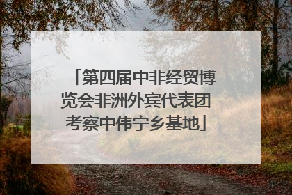 第四届中非经贸博览会非洲外宾代表团考察中伟宁乡基地