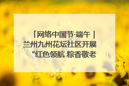 网络中国节·端午｜兰州九州花坛社区开展“红色领航 粽香敬老”端午主题活动