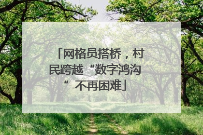 网格员搭桥，村民跨越“数字鸿沟”不再困难