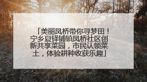 美丽凤桥带你寻梦田！宁乡夏铎铺镇凤桥社区创新共享菜园，市民认领菜土，体验耕种收获乐趣