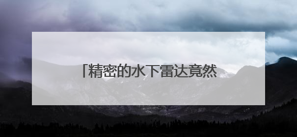 精密的水下雷达竟然就长在海豹脸上，科学家直呼“真香”！