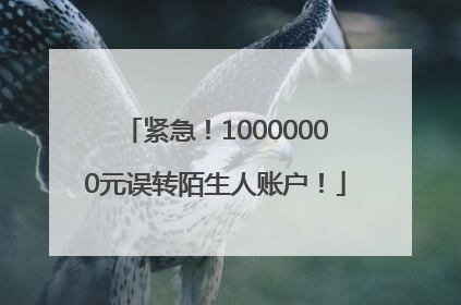 紧急！10000000元误转陌生人账户！