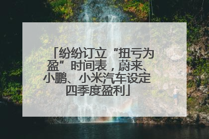 纷纷订立“扭亏为盈”时间表，蔚来、小鹏、小米汽车设定四季度盈利