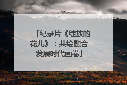 纪录片《绽放的花儿》：共绘融合发展时代画卷