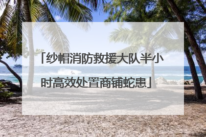 纱帽消防救援大队半小时高效处置商铺蛇患