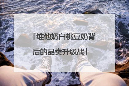 维他奶白桃豆奶背后的品类升级战