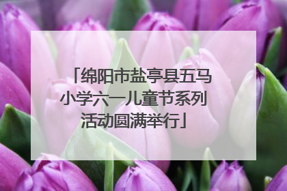 绵阳市盐亭县五马小学六一儿童节系列活动圆满举行