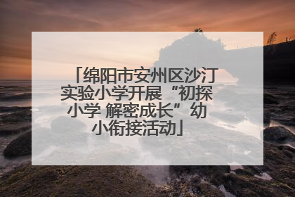 绵阳市安州区沙汀实验小学开展“初探小学 解密成长”幼小衔接活动