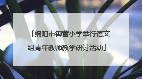 绵阳市御营小学举行语文组青年教师教学研讨活动