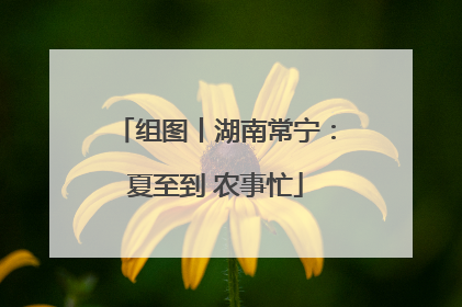 组图丨湖南常宁：夏至到 农事忙
