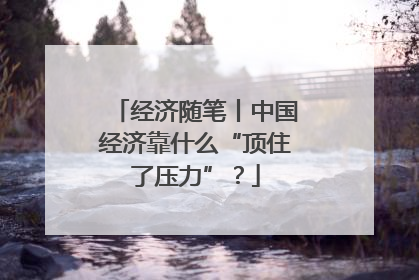 经济随笔丨中国经济靠什么“顶住了压力”？