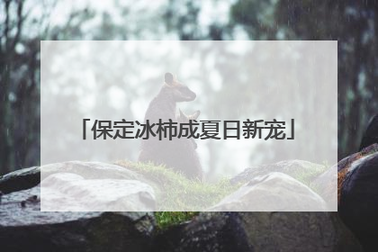 保定冰柿成夏日新宠