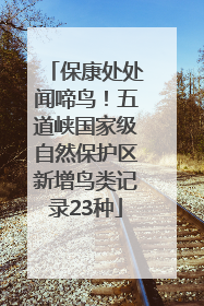 保康处处闻啼鸟！五道峡国家级自然保护区新增鸟类记录23种