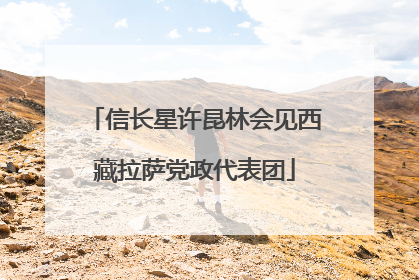 信长星许昆林会见西藏拉萨党政代表团