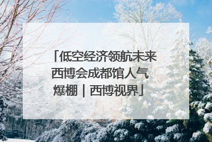 低空经济领航未来 西博会成都馆人气爆棚｜西博视界