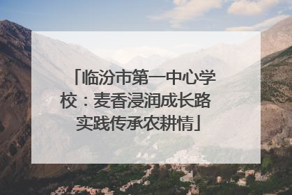 临汾市第一中心学校：麦香浸润成长路 实践传承农耕情