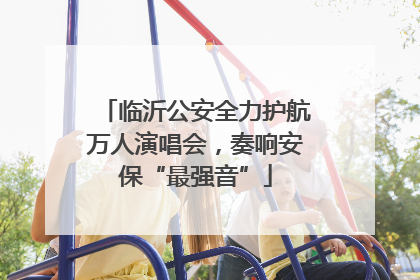 临沂公安全力护航万人演唱会，奏响安保“最强音”