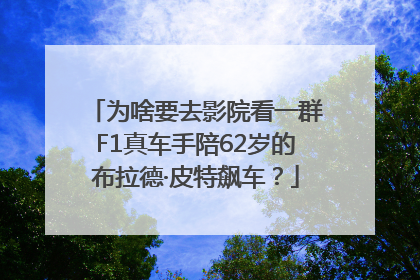 为啥要去影院看一群F1真车手陪62岁的布拉德·皮特飙车？