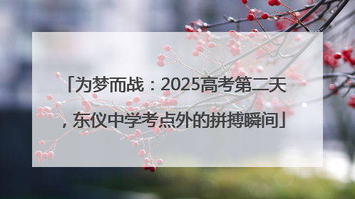 为梦而战：2025高考第二天，东仪中学考点外的拼搏瞬间