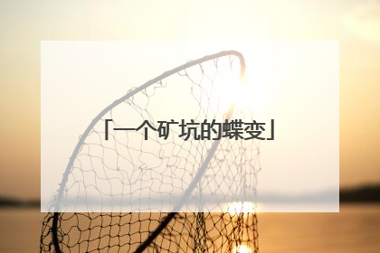 一个矿坑的蝶变