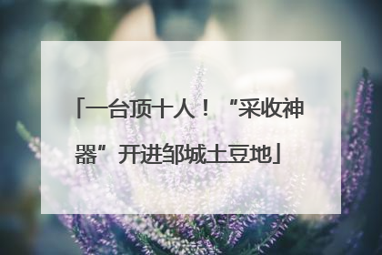 一台顶十人！“采收神器”开进邹城土豆地