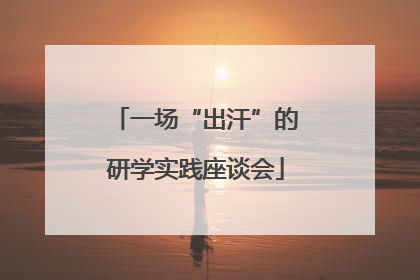 一场“出汗”的研学实践座谈会