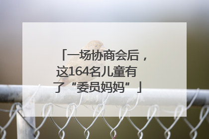 一场协商会后，这164名儿童有了“委员妈妈”