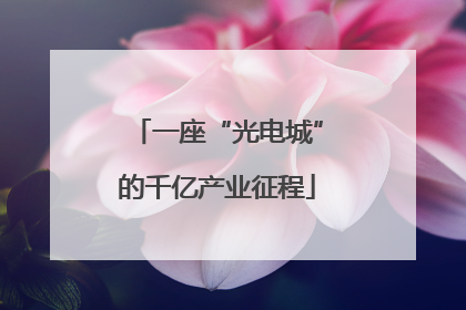 一座“光电城”的千亿产业征程