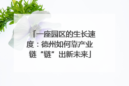 一座园区的生长速度：德州如何靠产业链“链”出新未来