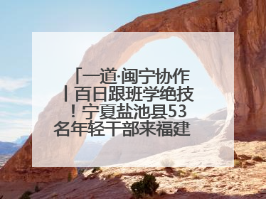 一道·闽宁协作丨百日跟班学绝技！宁夏盐池县53名年轻干部来福建取“真经”