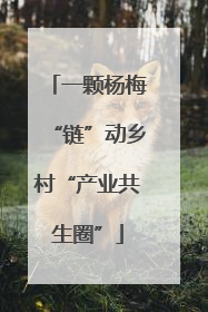 一颗杨梅“链”动乡村“产业共生圈”