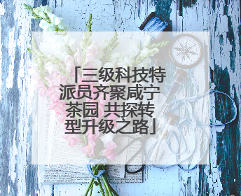 三级科技特派员齐聚咸宁茶园 共探转型升级之路