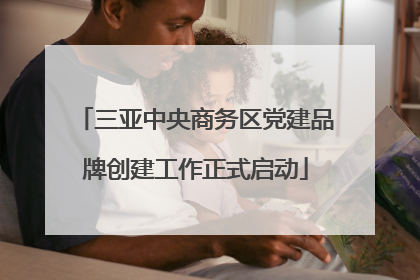 三亚中央商务区党建品牌创建工作正式启动