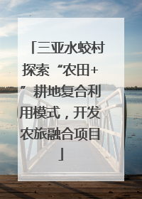 三亚水蛟村探索“农田+”耕地复合利用模式，开发农旅融合项目