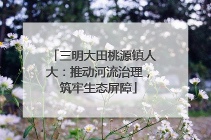 三明大田桃源镇人大：推动河流治理，筑牢生态屏障