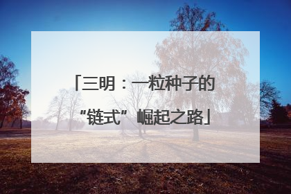 三明：一粒种子的“链式”崛起之路