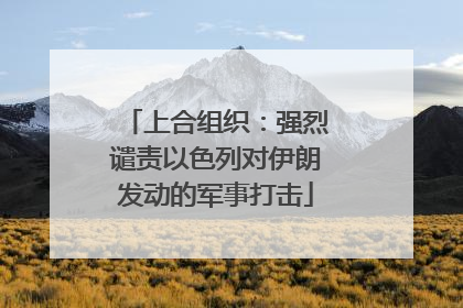 上合组织：强烈谴责以色列对伊朗发动的军事打击